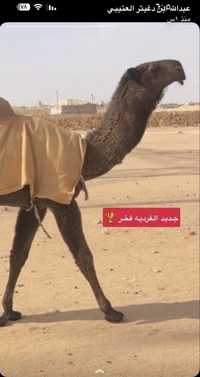 يزيد بن فهد tweet media