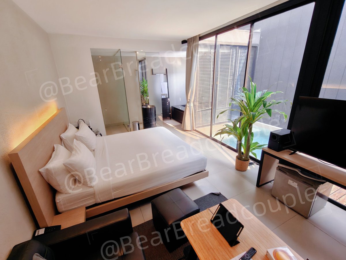 BearBread_Couple🐻🐻‍❄️✨️🤍 tweet media