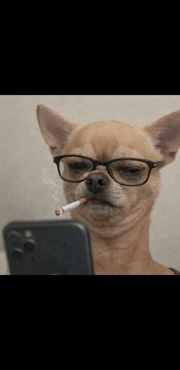 freak_da_passa tweet media