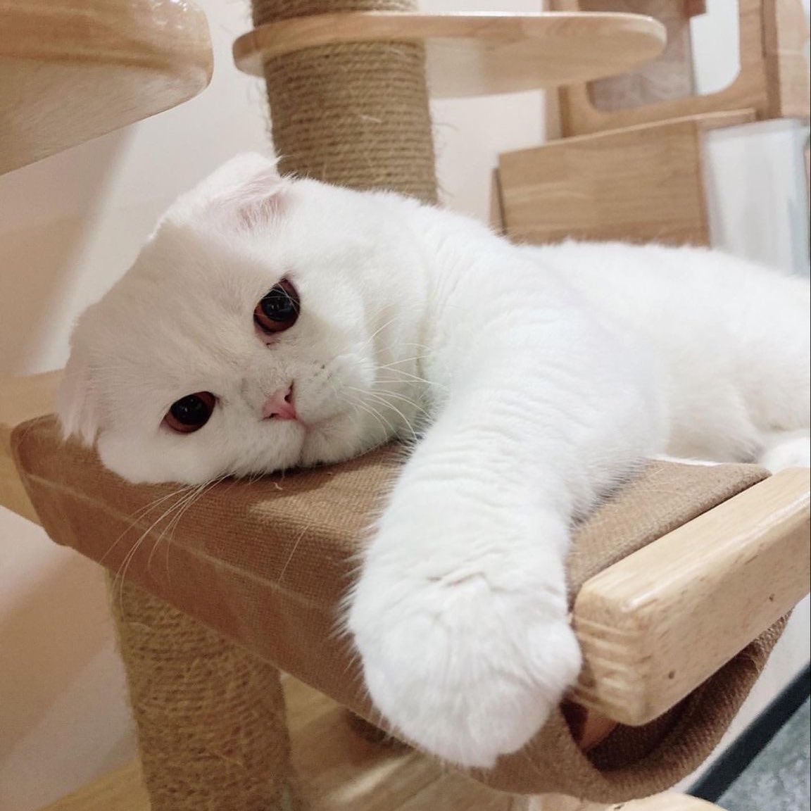 n.tha ｰ̀εｰ́ tweet media