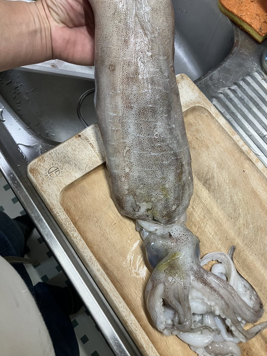 超三流(武) 六四天安門 tweet media