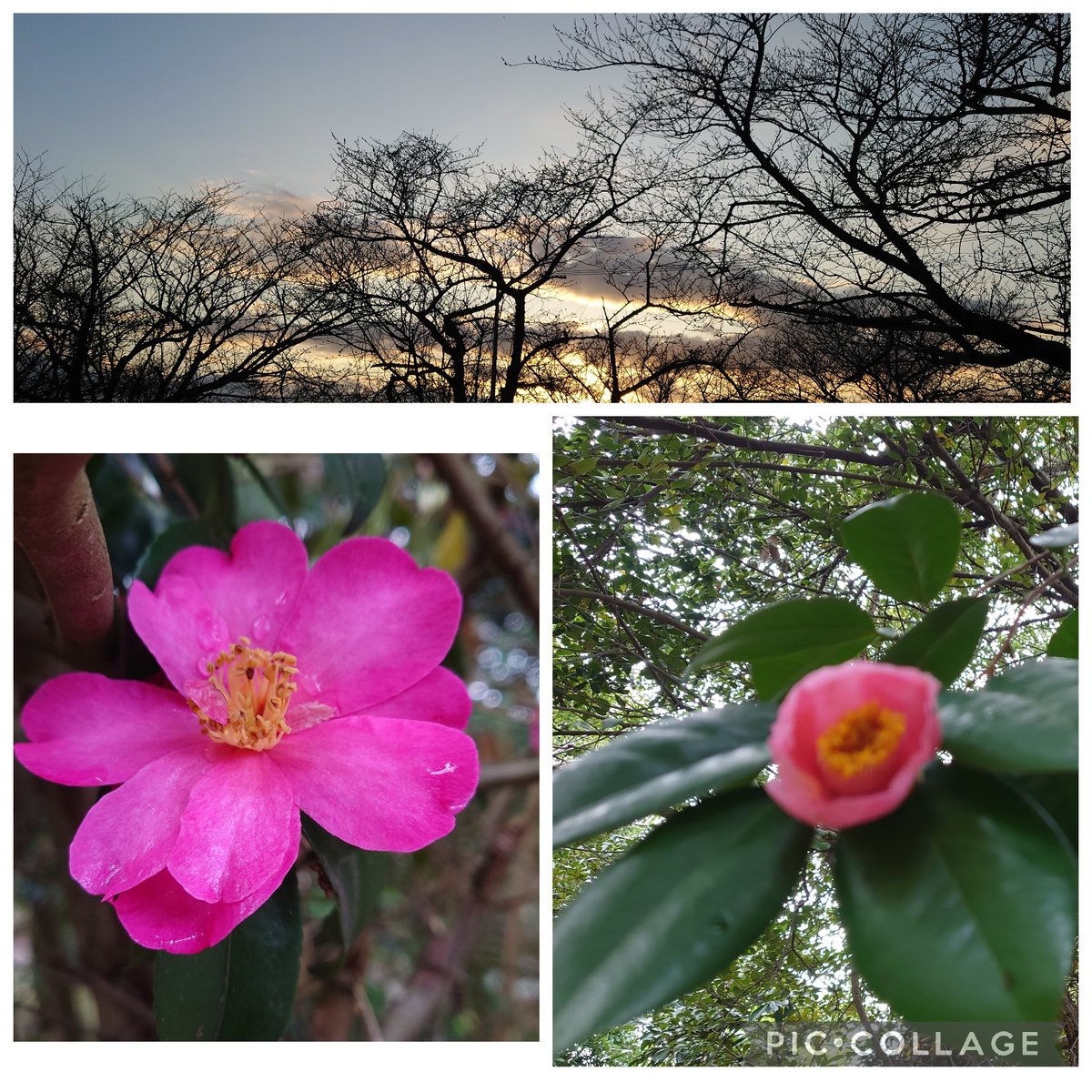 ぼっこ🥐🥖🥯💕 tweet media