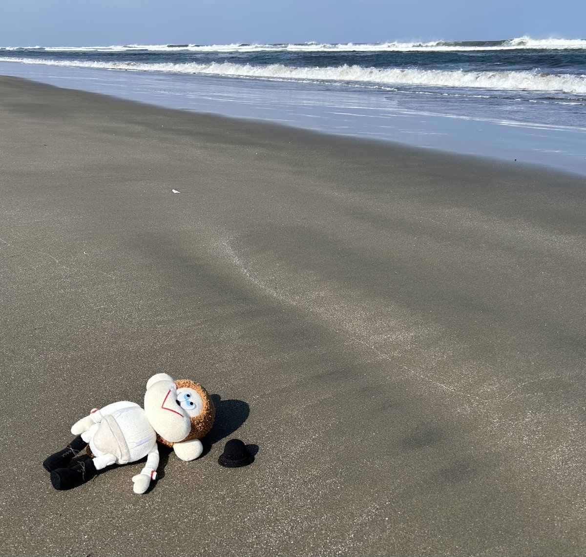 いとこのアレックス tweet media