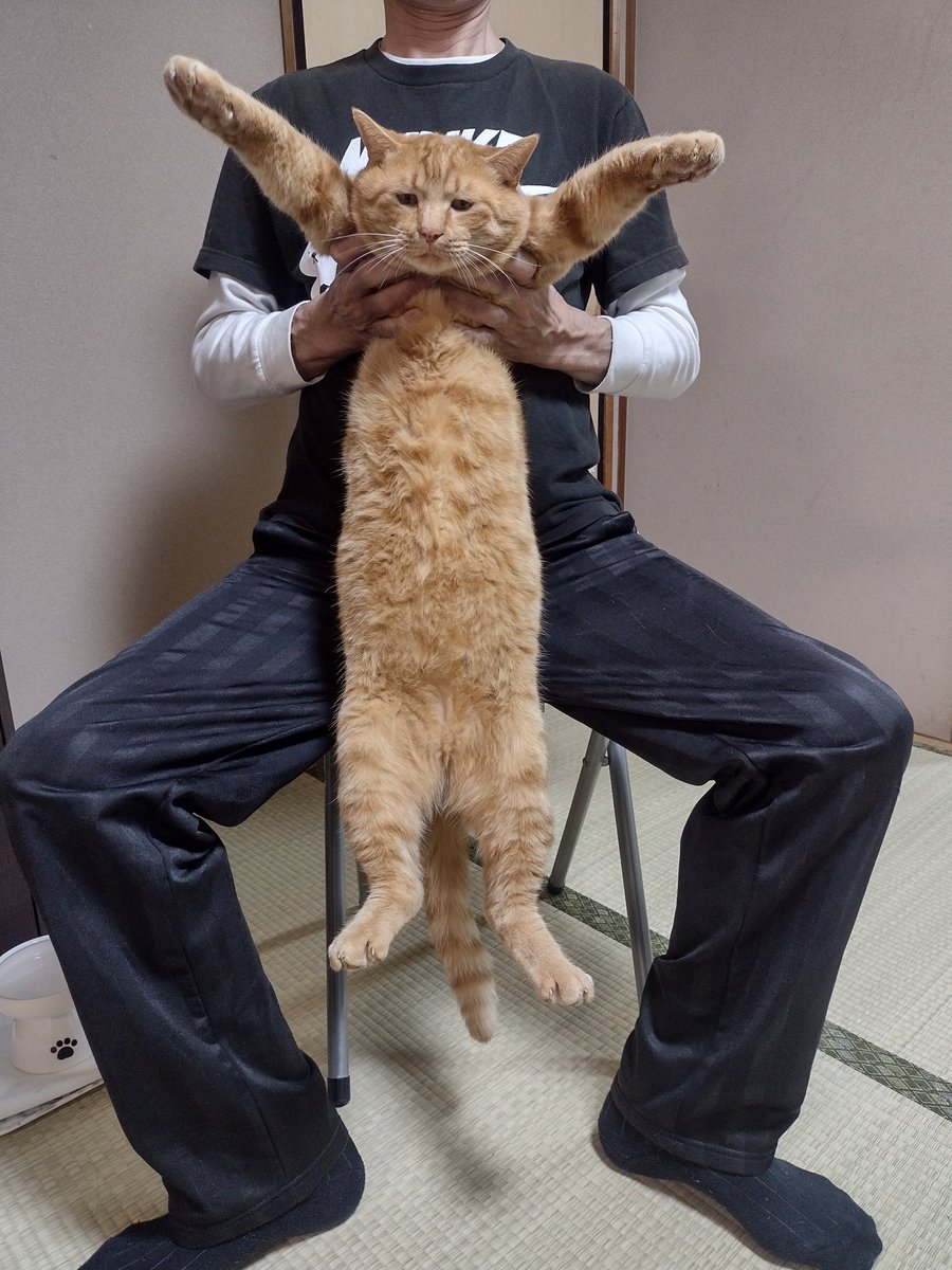 エムズ tweet media