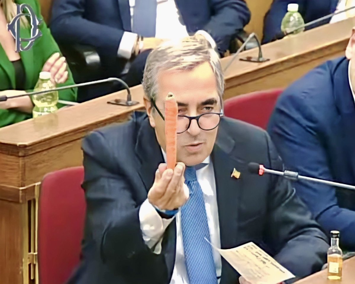 Lupita 🐧✫ tweet media