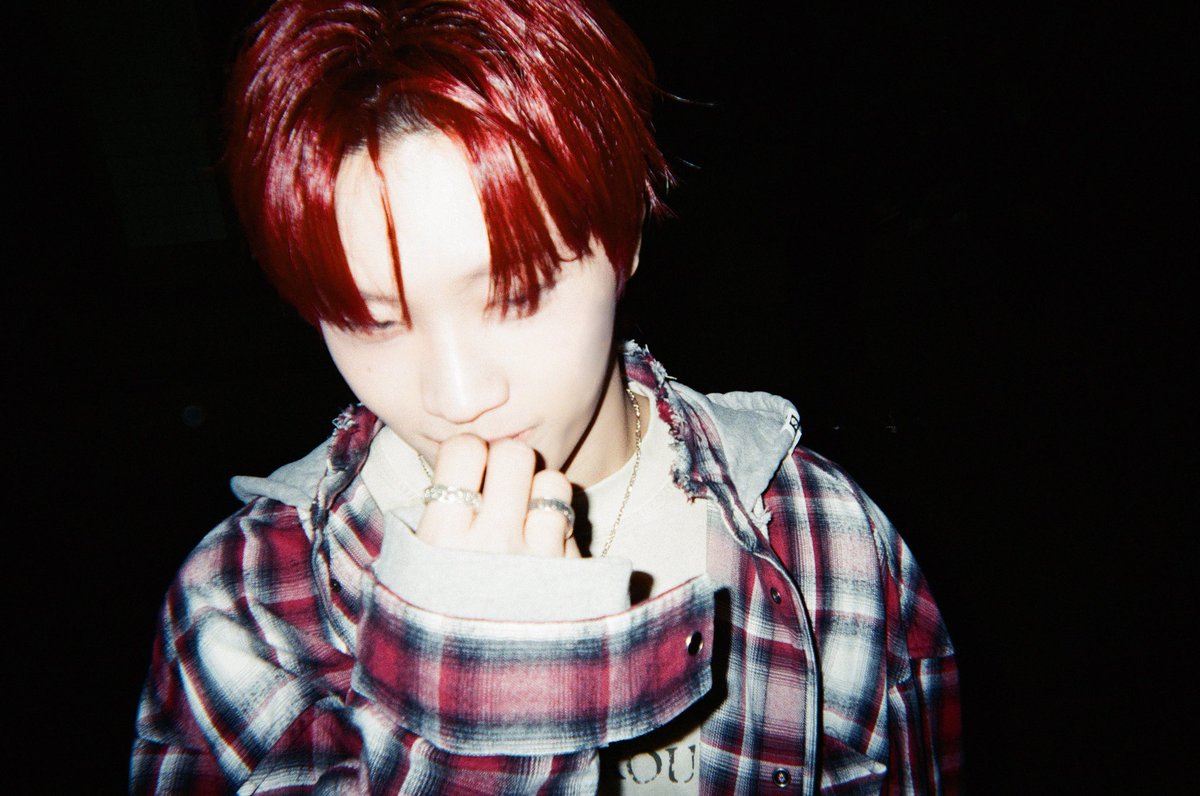 Dragon Pony tweet media