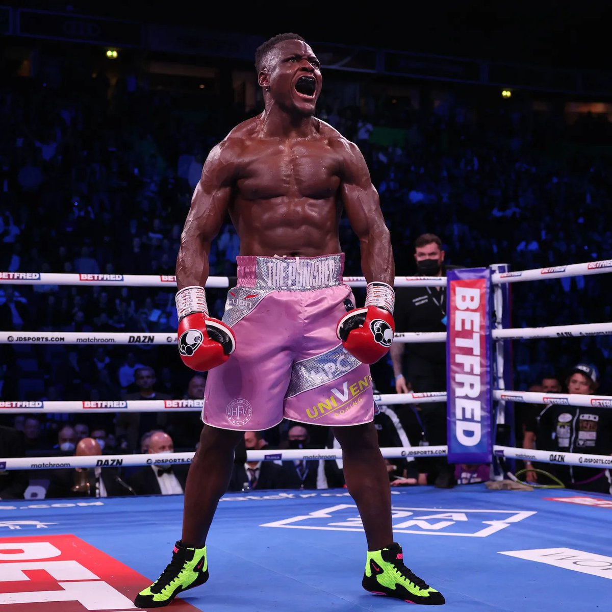 Boxing Fightzone tweet media