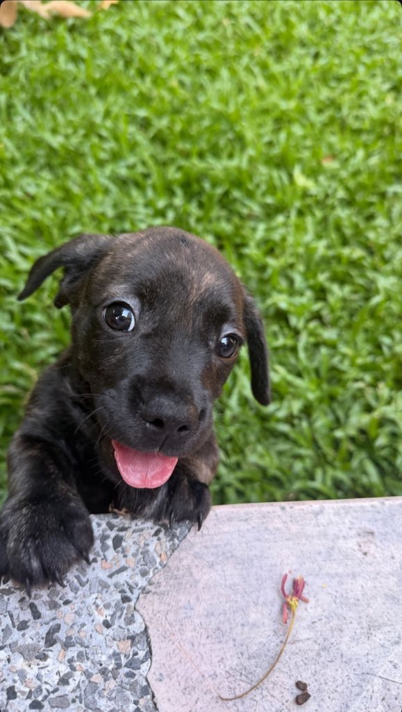 🍦เหม๋วจิ๋ว 𐙚^•⩊•^ tweet media