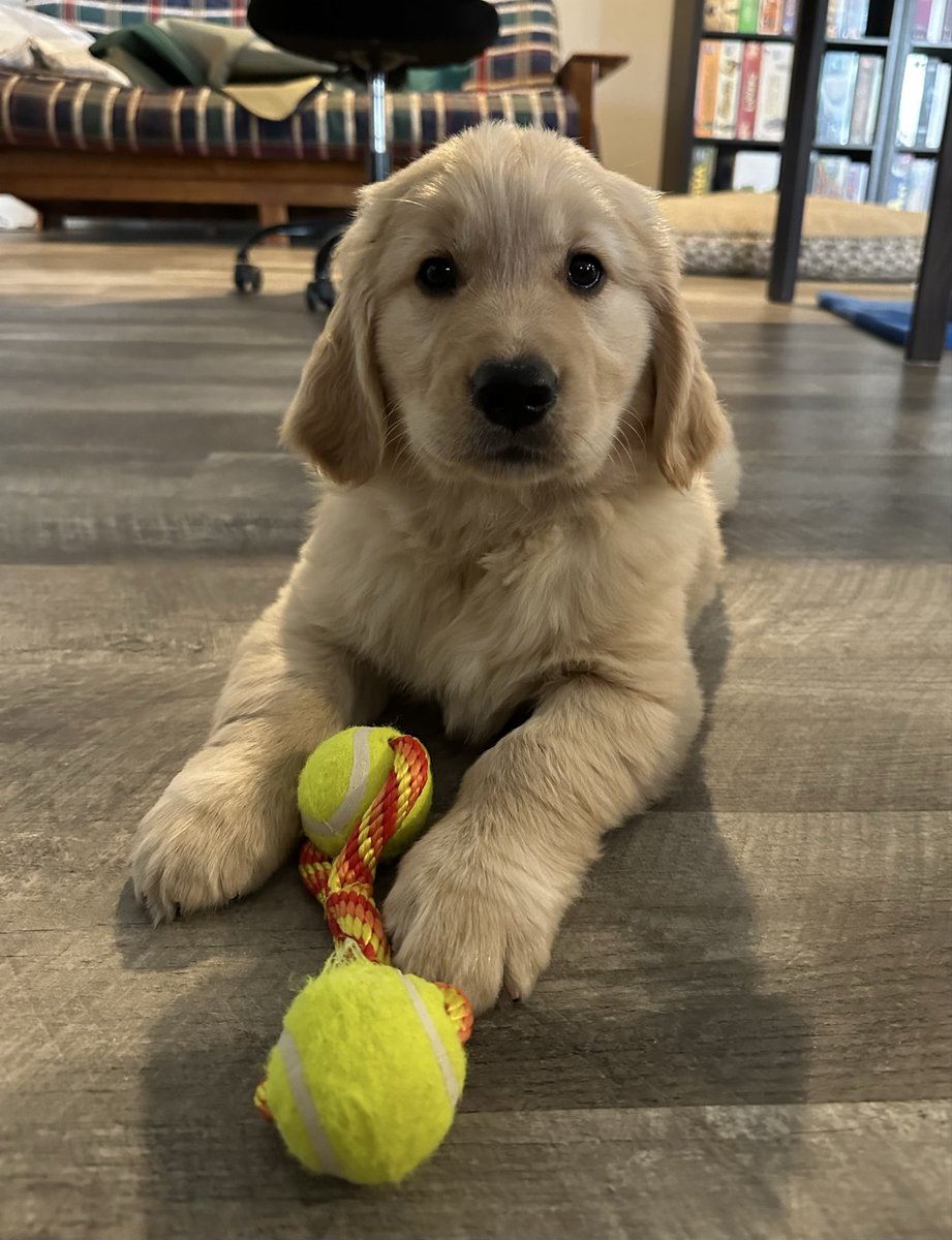 🇨🇦Lynn & Murphy of the North🇨🇦 tweet media