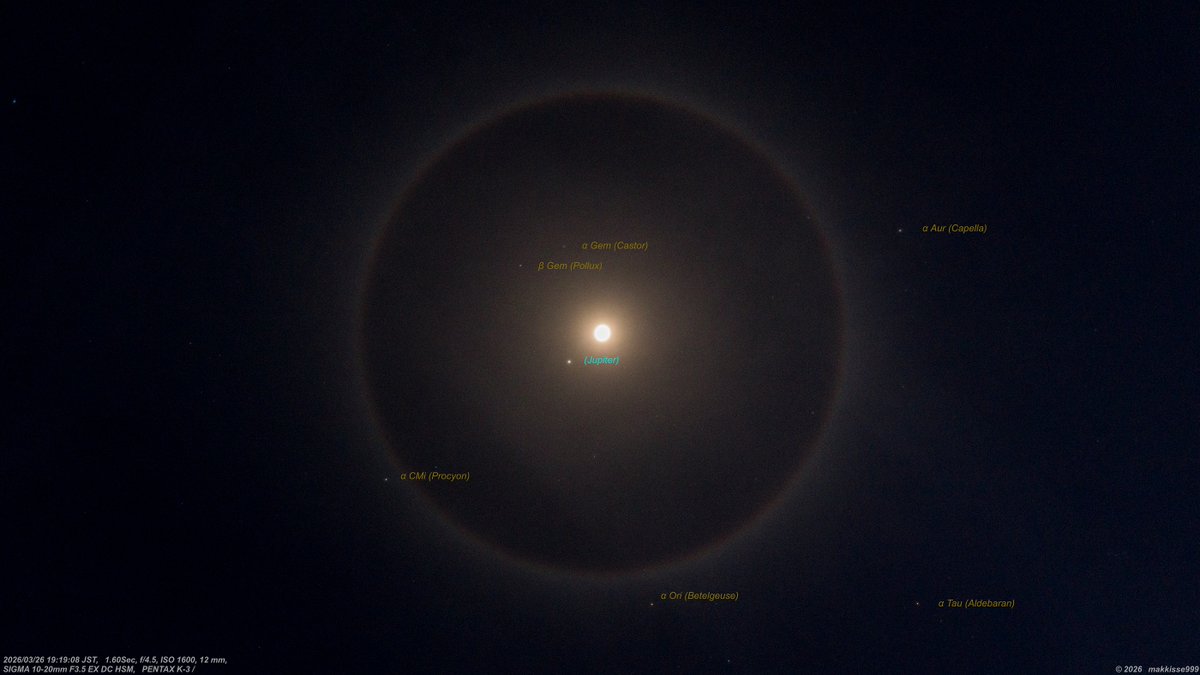 3月26日 19:06~19:19　未明、月の出前に「上弦の月」だったので半分より太くなってます。月の近くには明るい木星。徐々に薄雲が掛かり始めて、くっきりとした月暈が出現。#月 #Halo