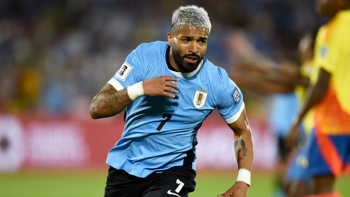 Rodri Vázquez tweet media