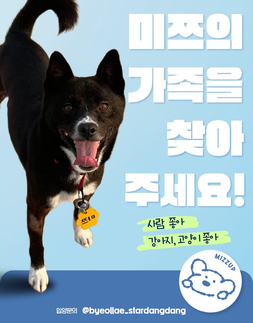 가족 찾고 있는 미쯔🐶 tweet media