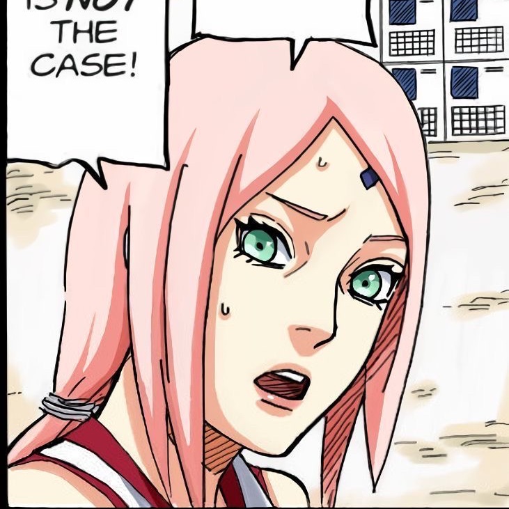 ❀。• *₊° 。𝑆𝐴𝐾𝑈𝑅𝐴 。• *₊°❀ tweet media