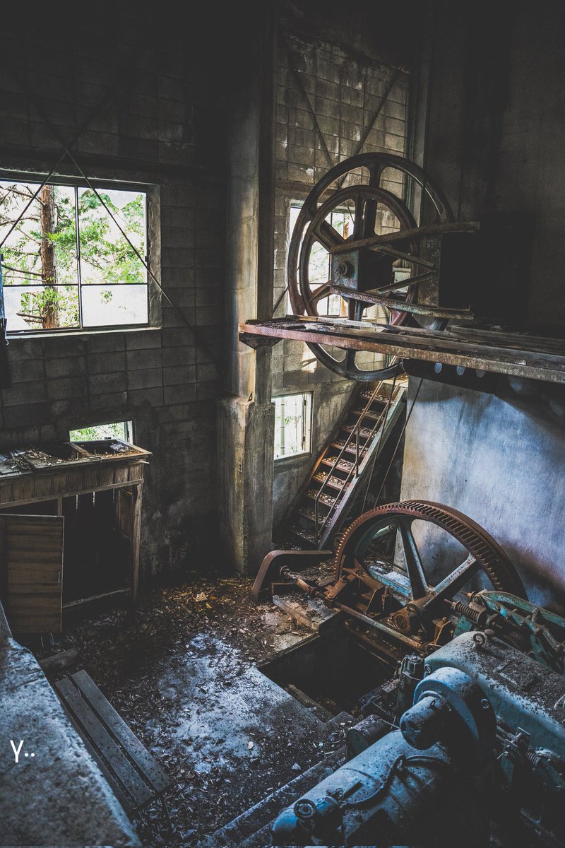 γ◦◦ tweet media