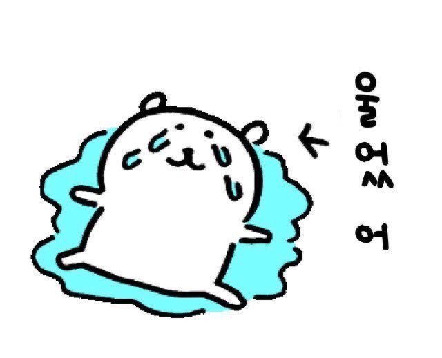 🐏쪼쪼♡ tweet media