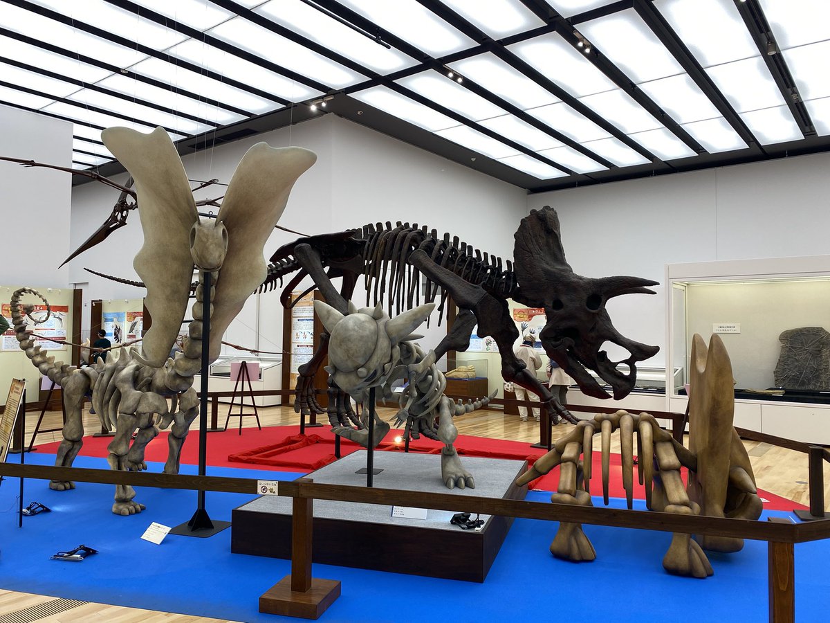 古林 裕貴(KOBAYASHI HIROTAKA)🧩🐯@SPA専太平のゆ公式アンバサダー tweet media