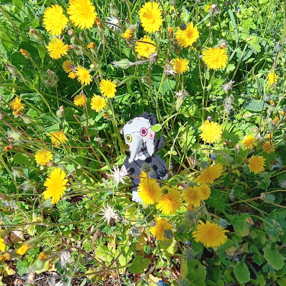 useless worm tweet media