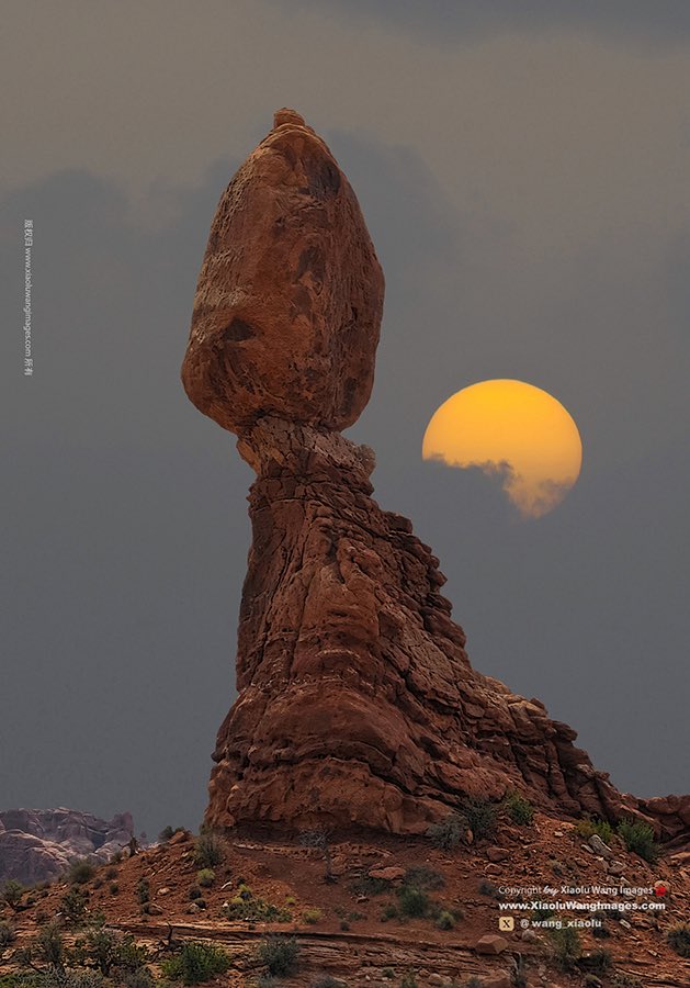 Xiaolu Wang tweet media