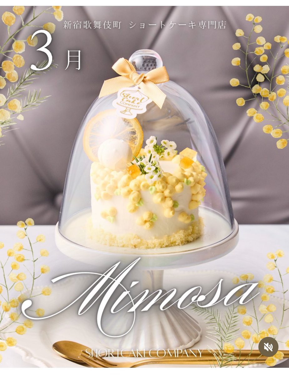 𝐌𝐢𝐭𝐬𝐮🌟 tweet media