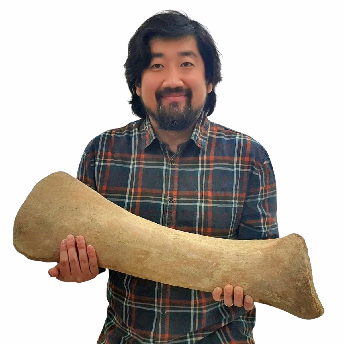 공룡 박사 박진영 tweet media