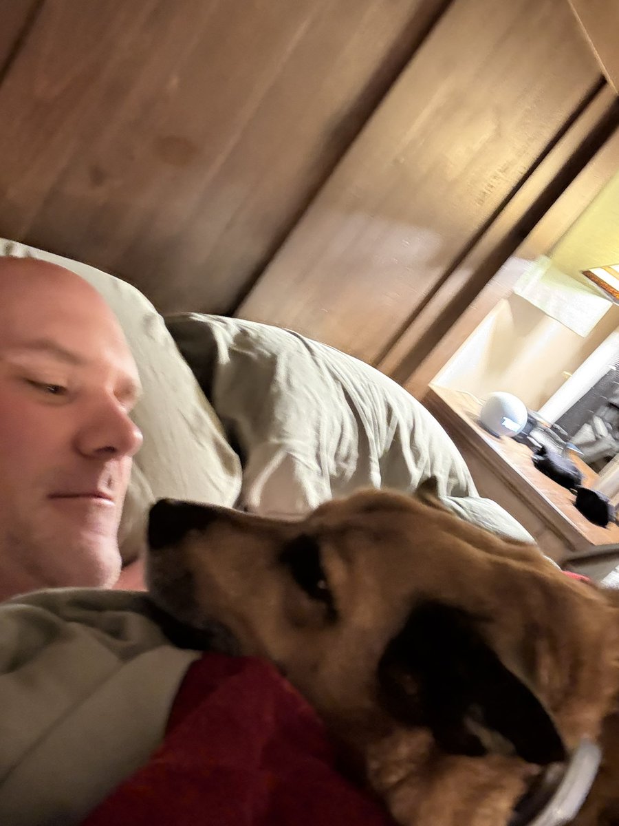 confused Roomba tweet media