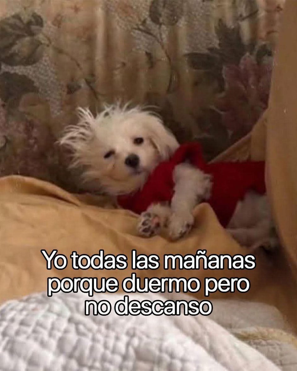 Lonely🥀 tweet media