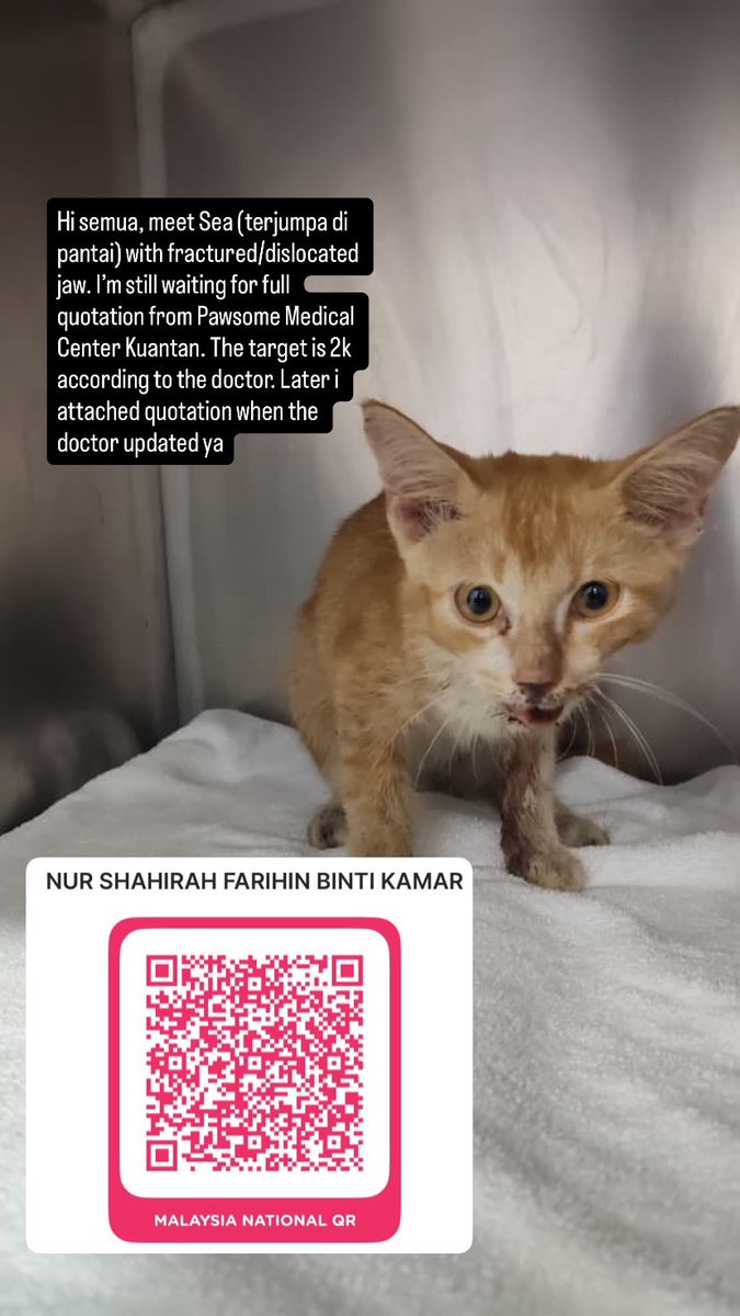 shahirah tweet media