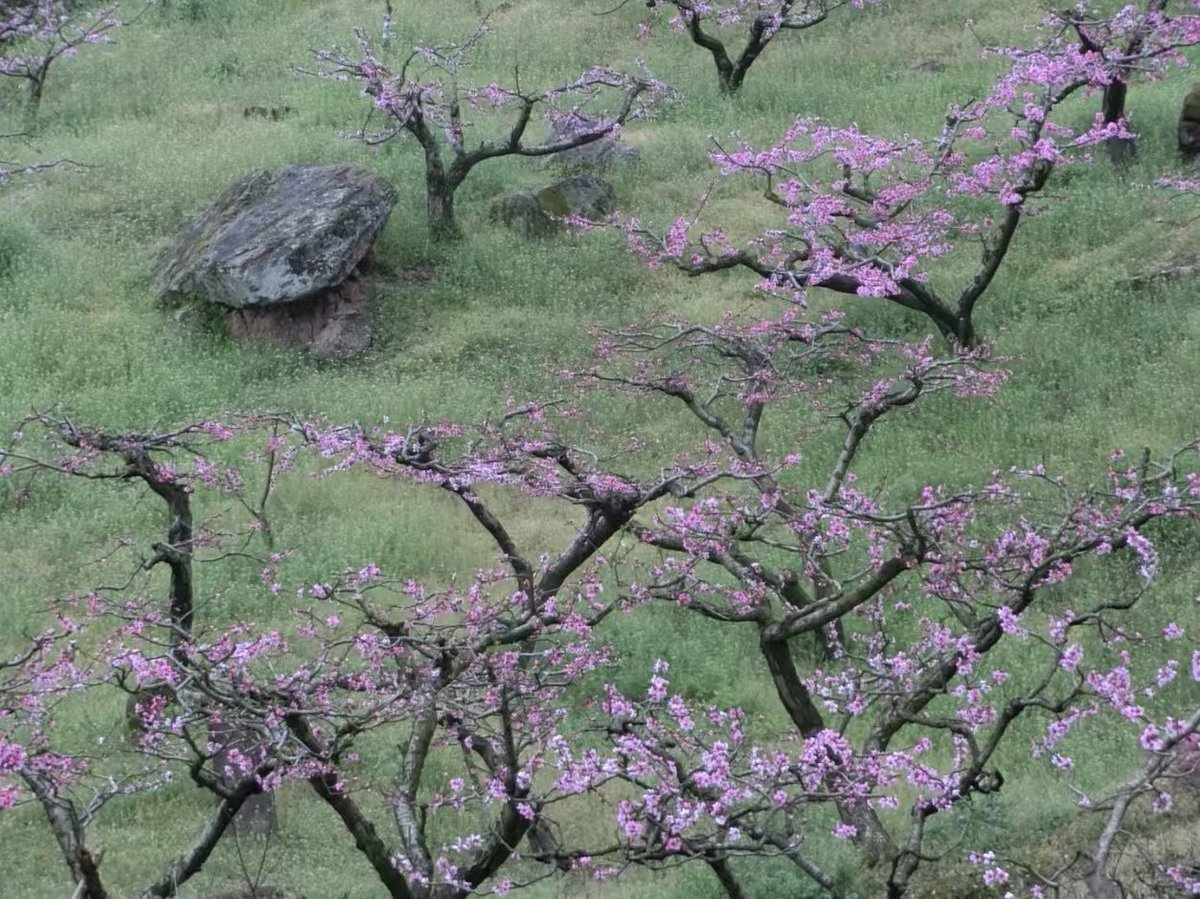 Worth Work Words tweet media