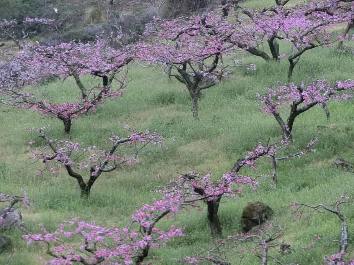 Worth Work Words tweet media