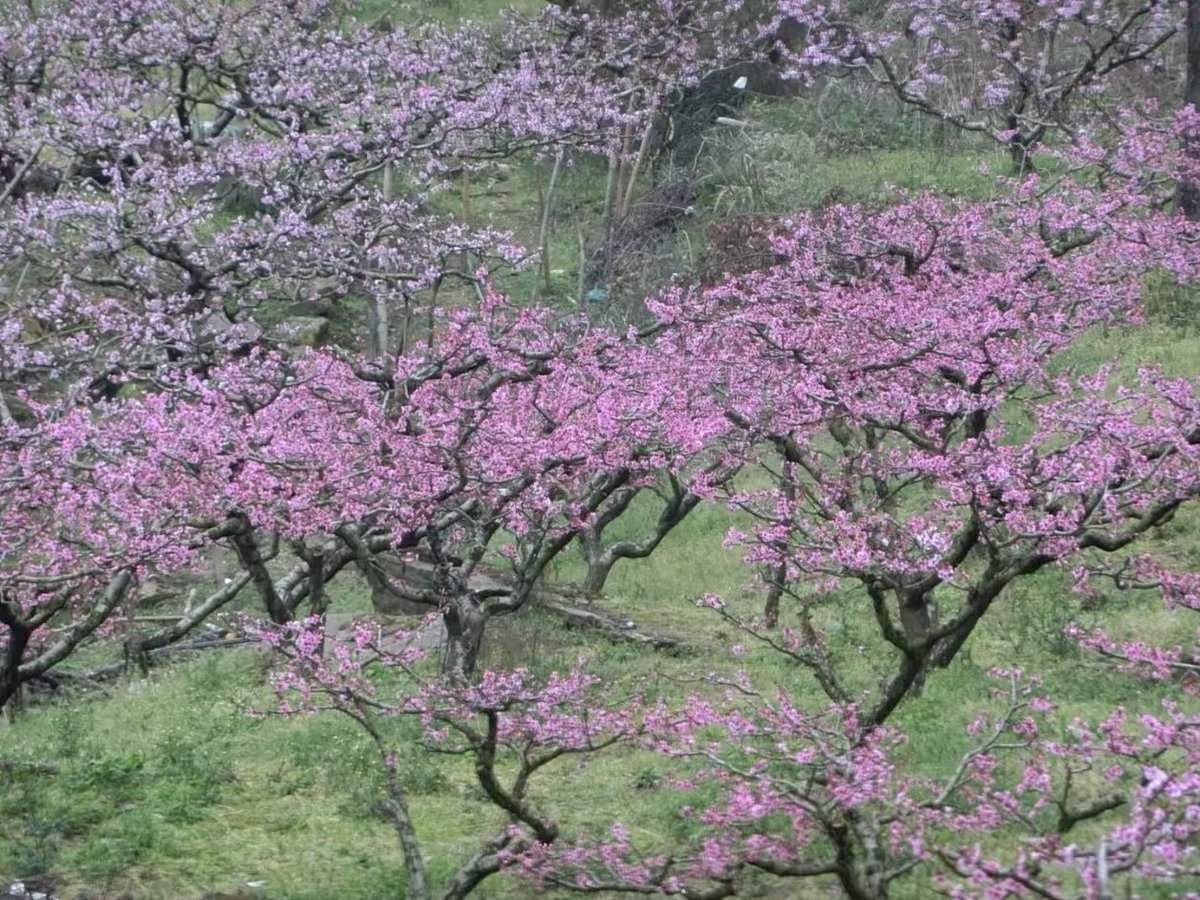 Worth Work Words tweet media