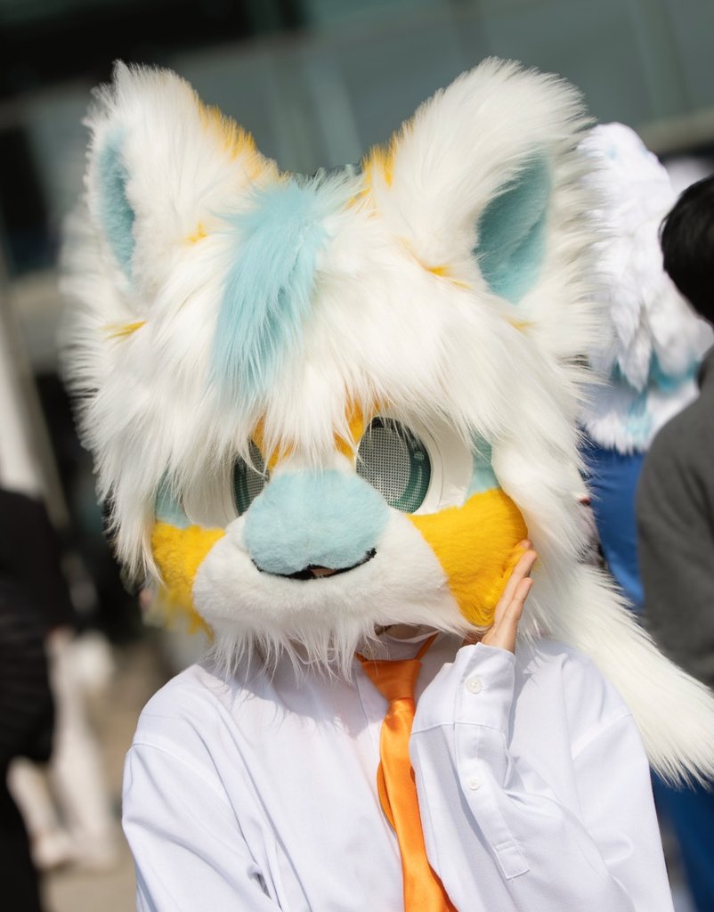 노하 🧀 트친소 tweet media