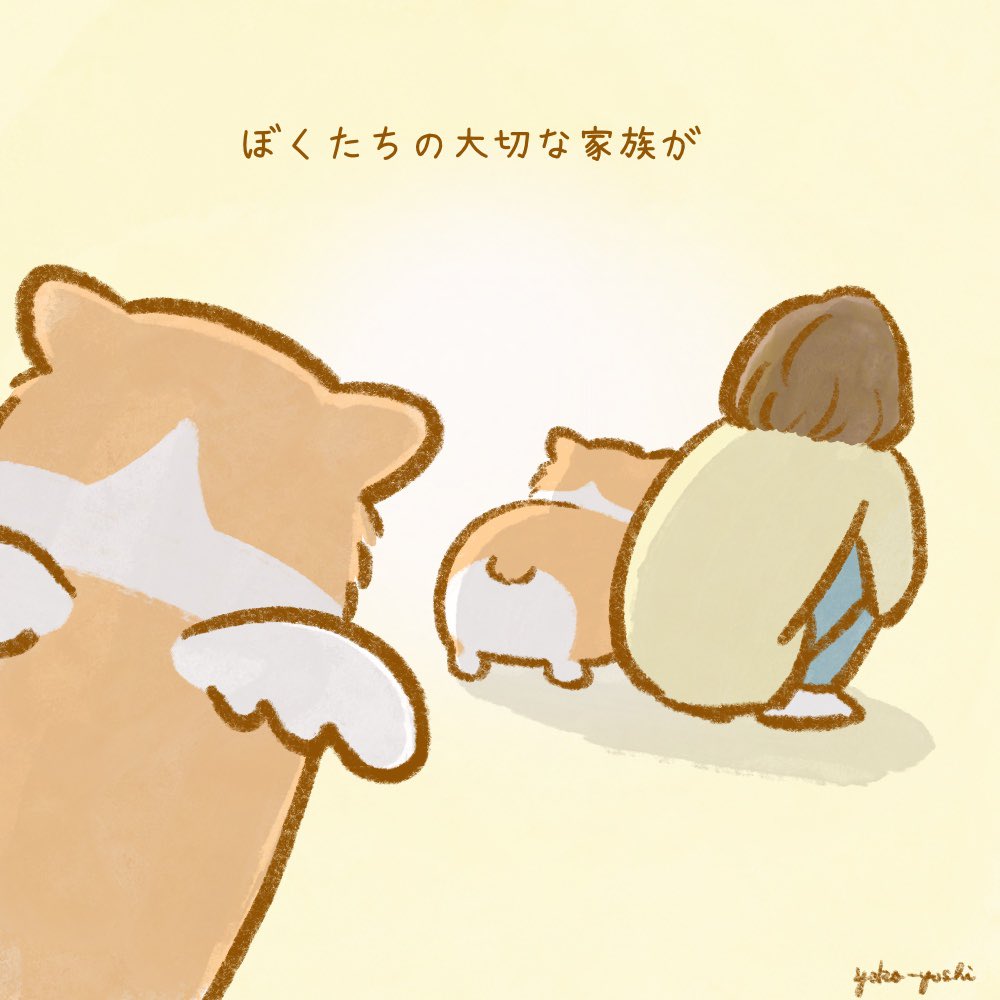 yoko-yoshi tweet media