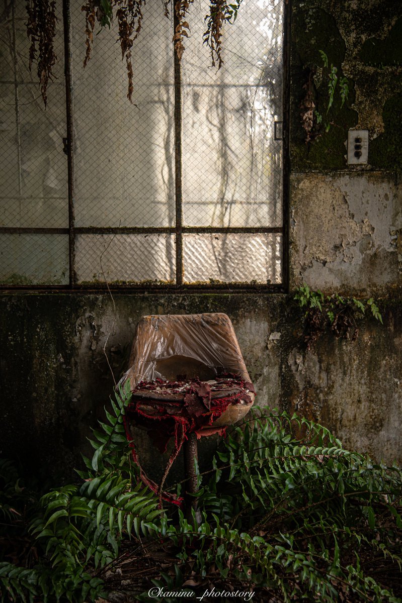 かみーぬ tweet media