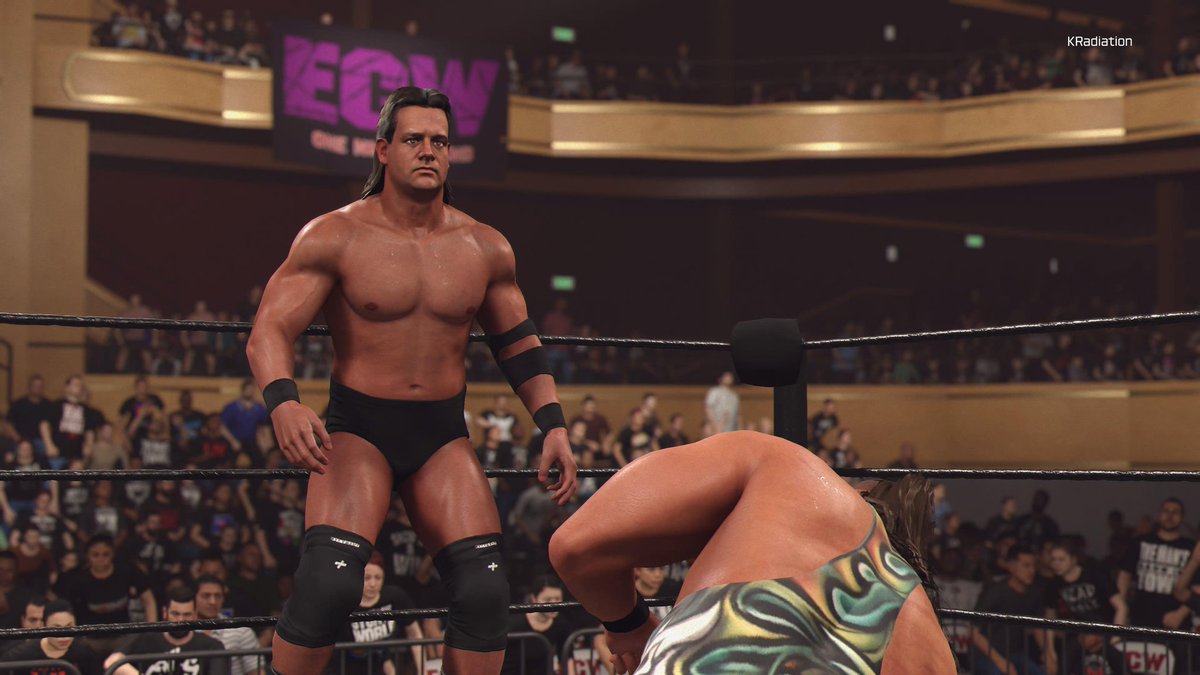 KRadiation tweet media