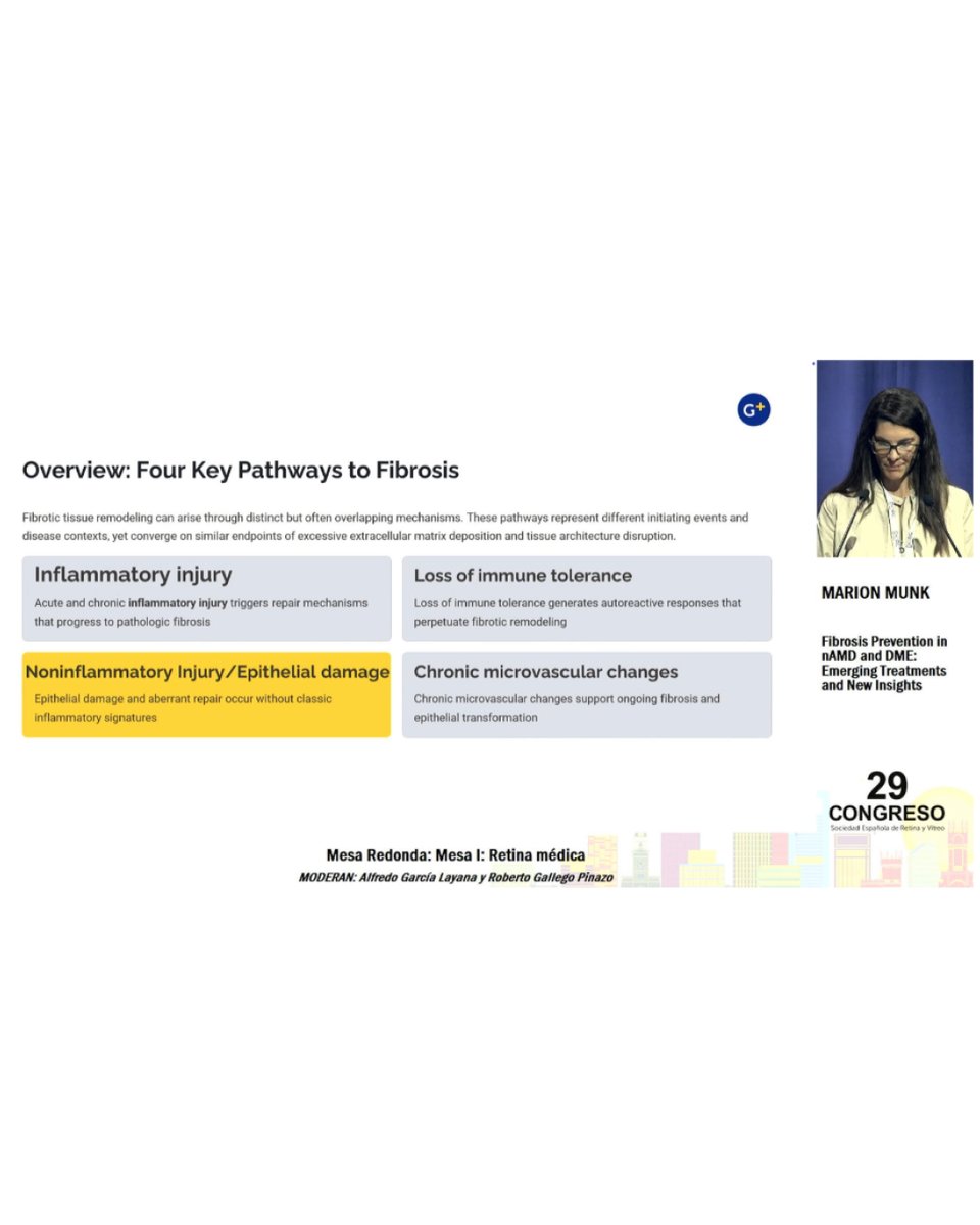 Sociedad Española de Retina y Vítreo tweet media