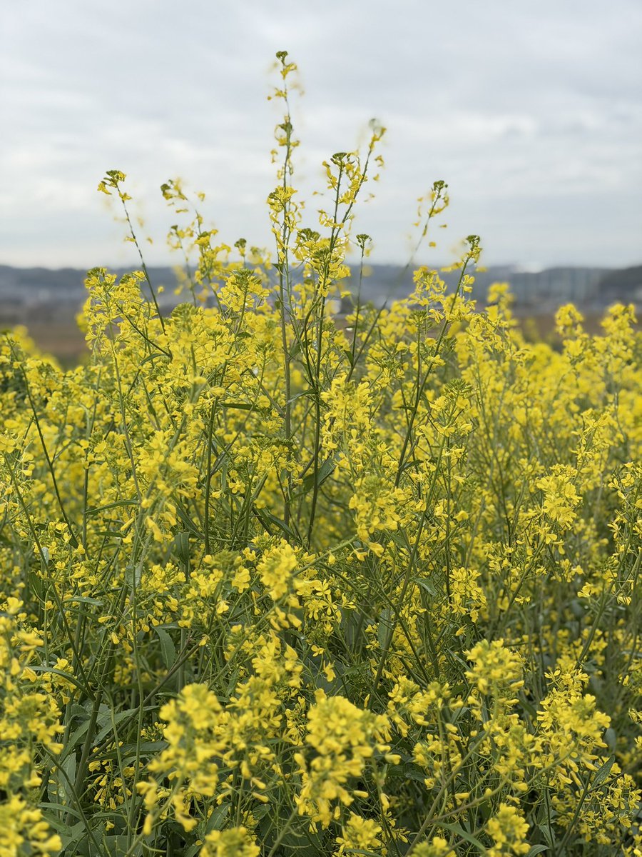 R.D.TRUCKING tweet media