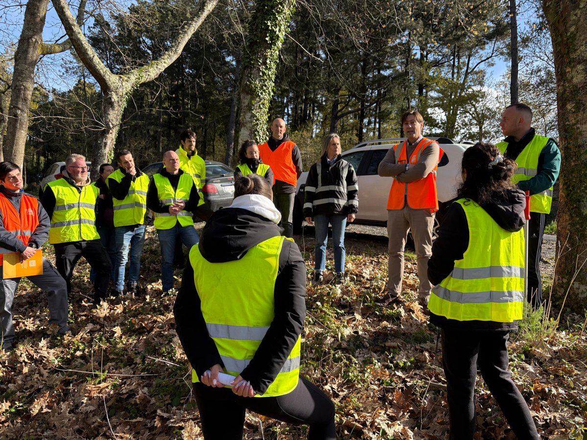 Fearmaga tweet media