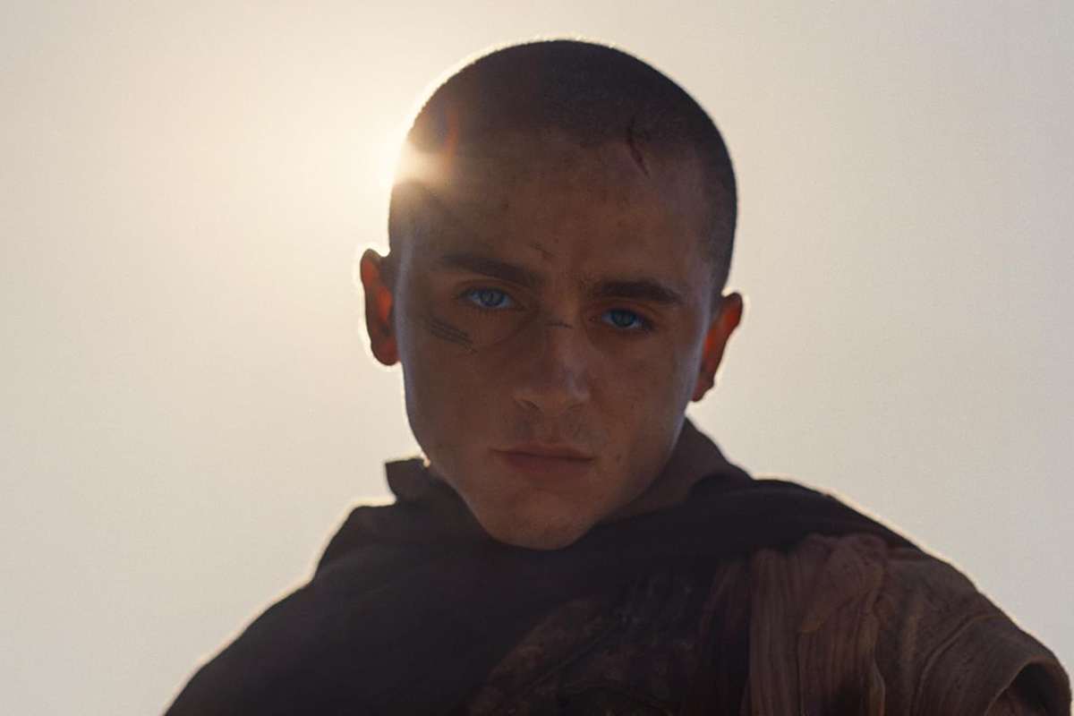 RaptorJaune🦖 tweet media