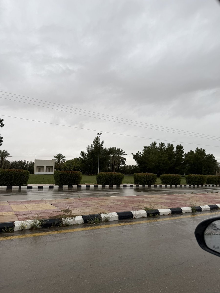 جسّار tweet media