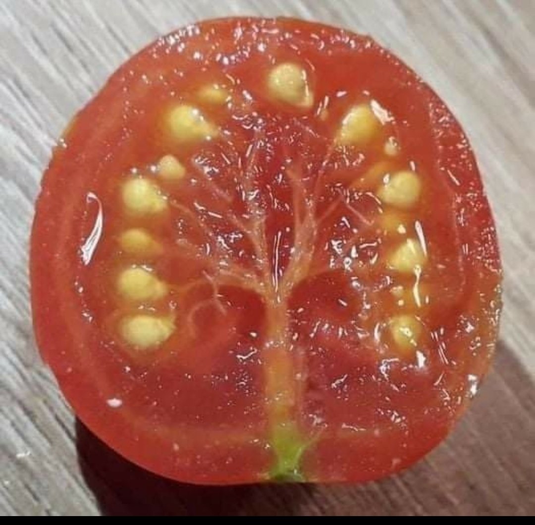 Nicoletta tweet media