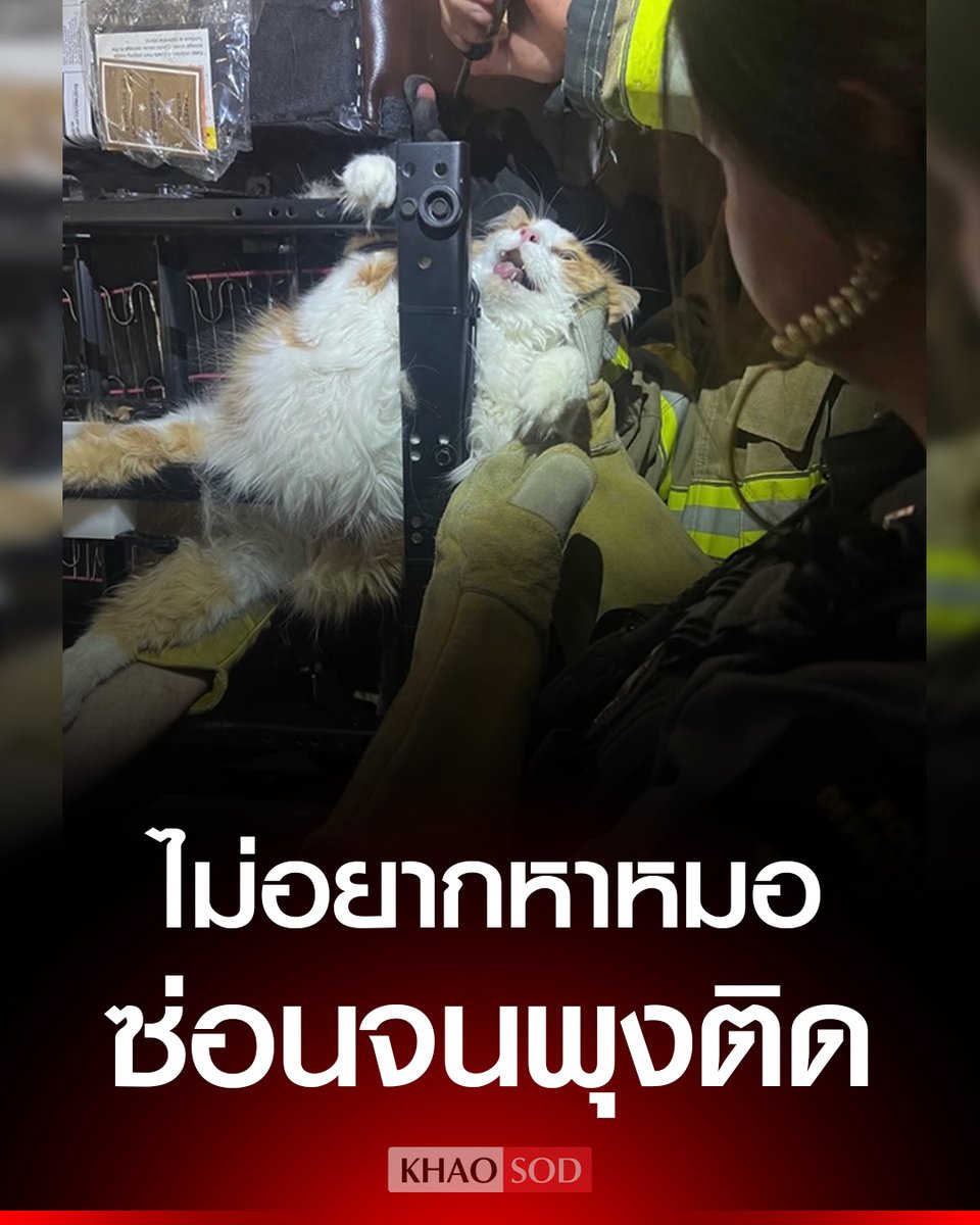 Khaosodonline tweet media