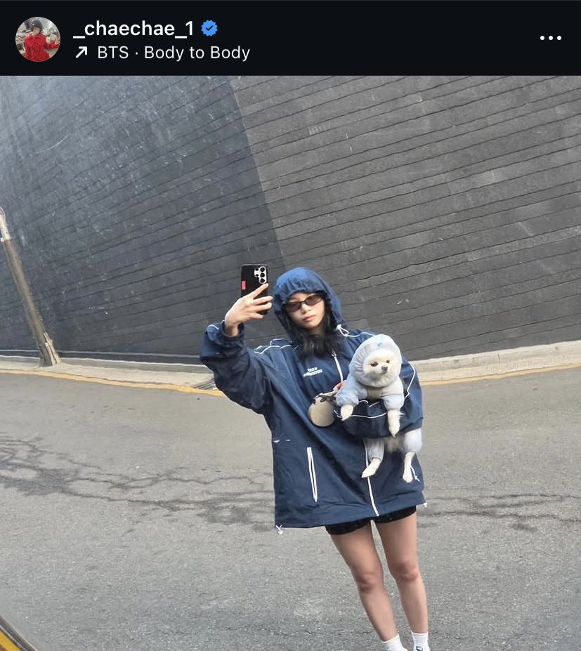 daily btssera 🪭 tweet media