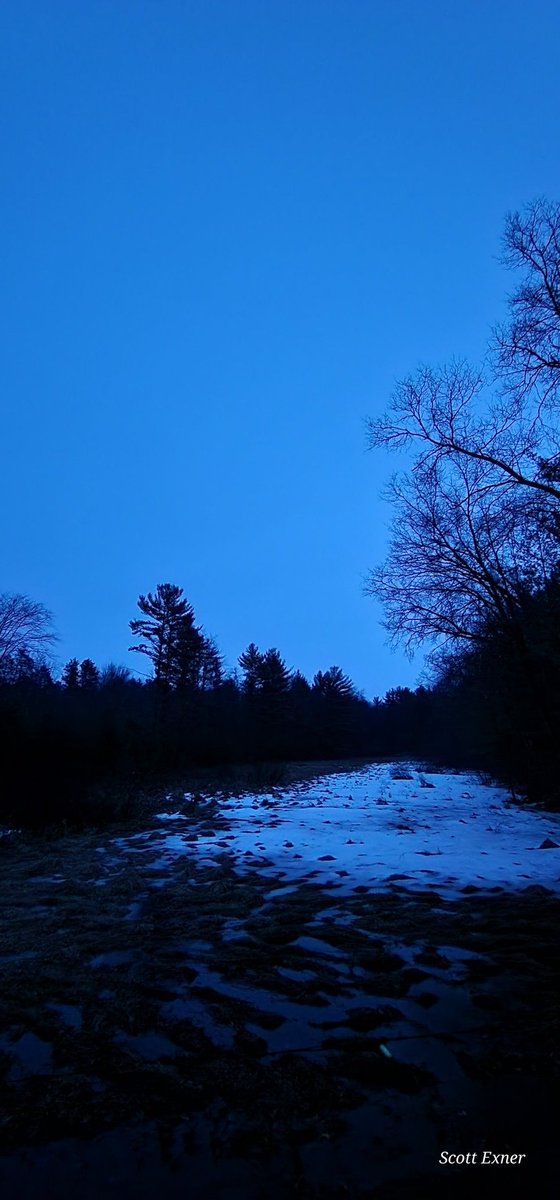 💲©️☀️🏋‍♂️🏋‍♂️ ❌️ tweet media