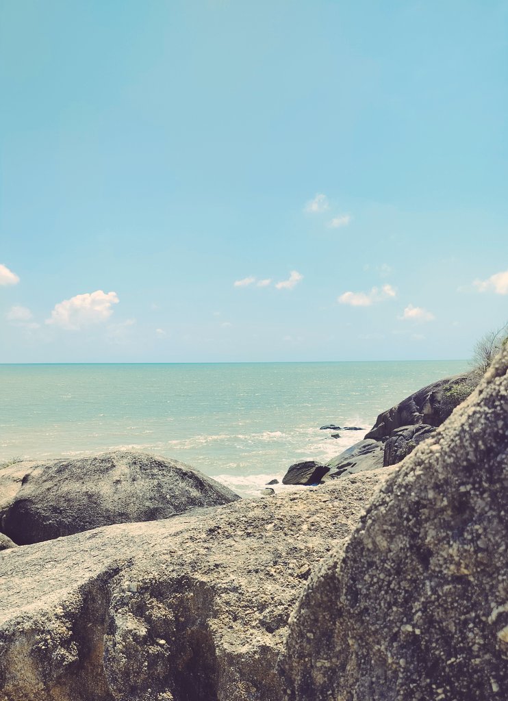 กองทัพ tweet media