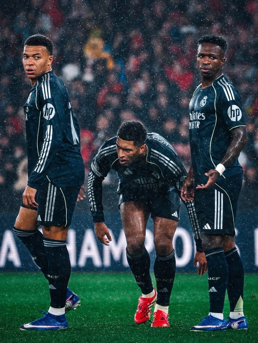 Madrid Zone tweet media