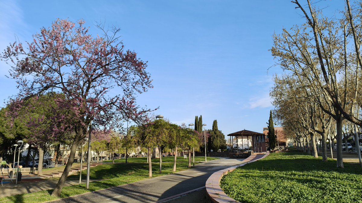 Joan Ramon Mercè tweet media