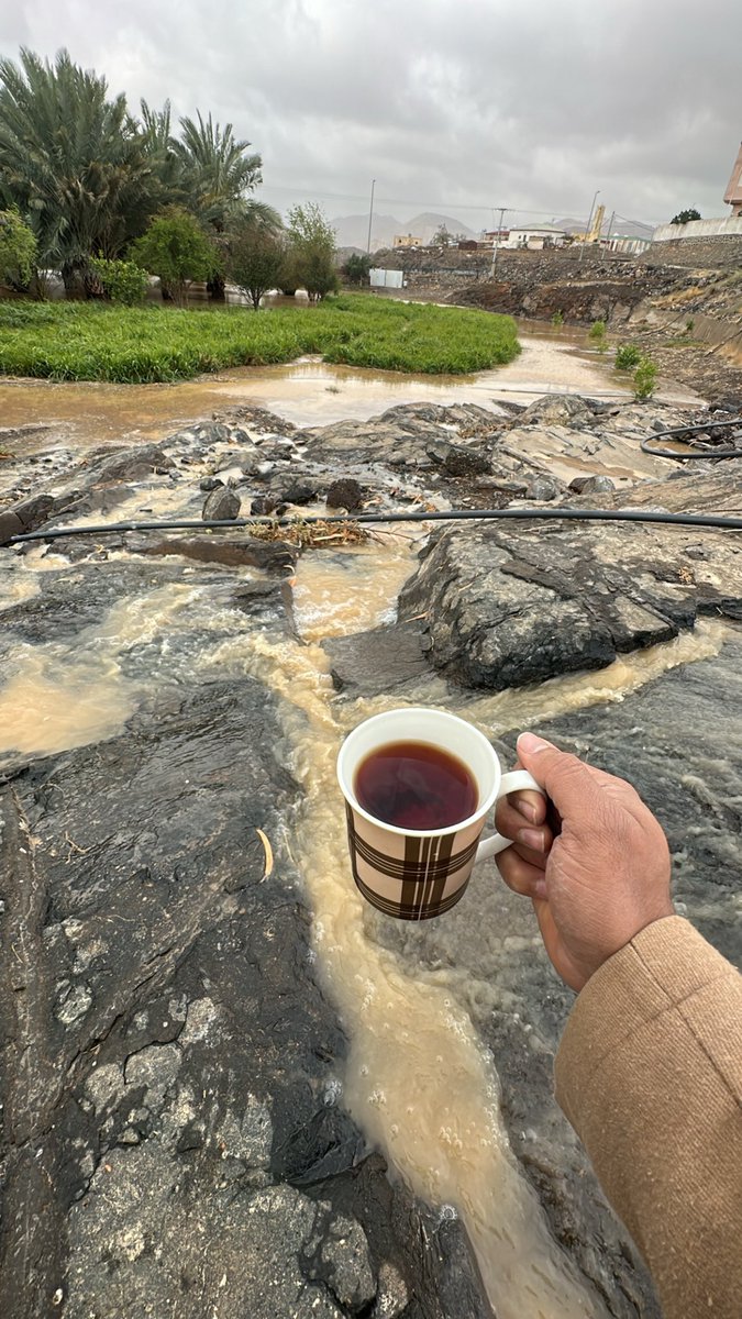 ابو حمود الرويعي | Abu Hamoud Al-Ruwai tweet media