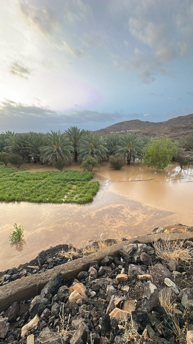 ابو حمود الرويعي | Abu Hamoud Al-Ruwai tweet media