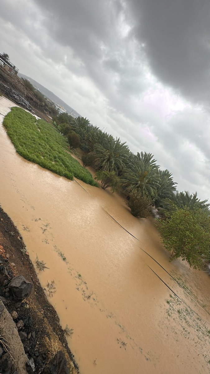 ابو حمود الرويعي | Abu Hamoud Al-Ruwai tweet media