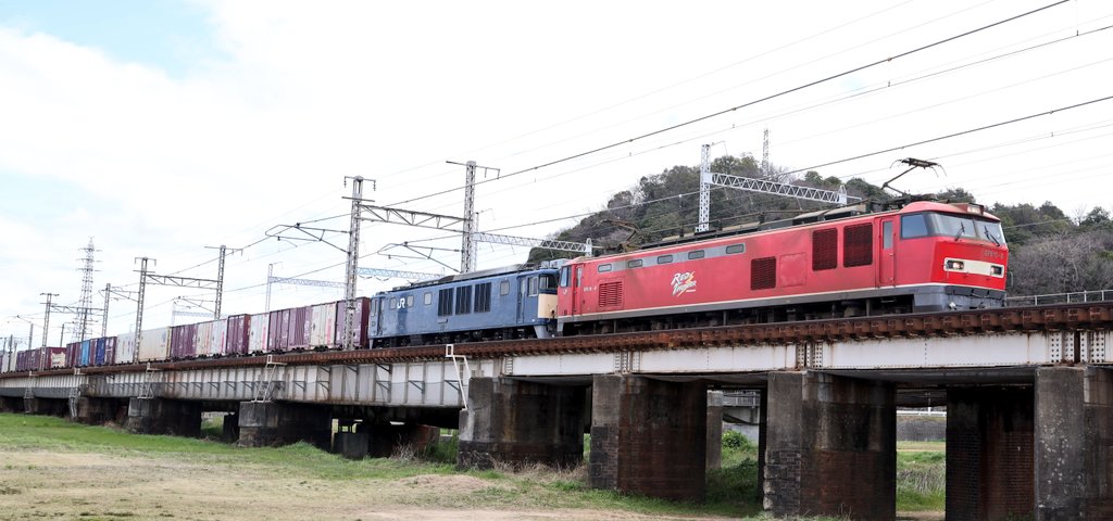 金魚のひろし tweet media